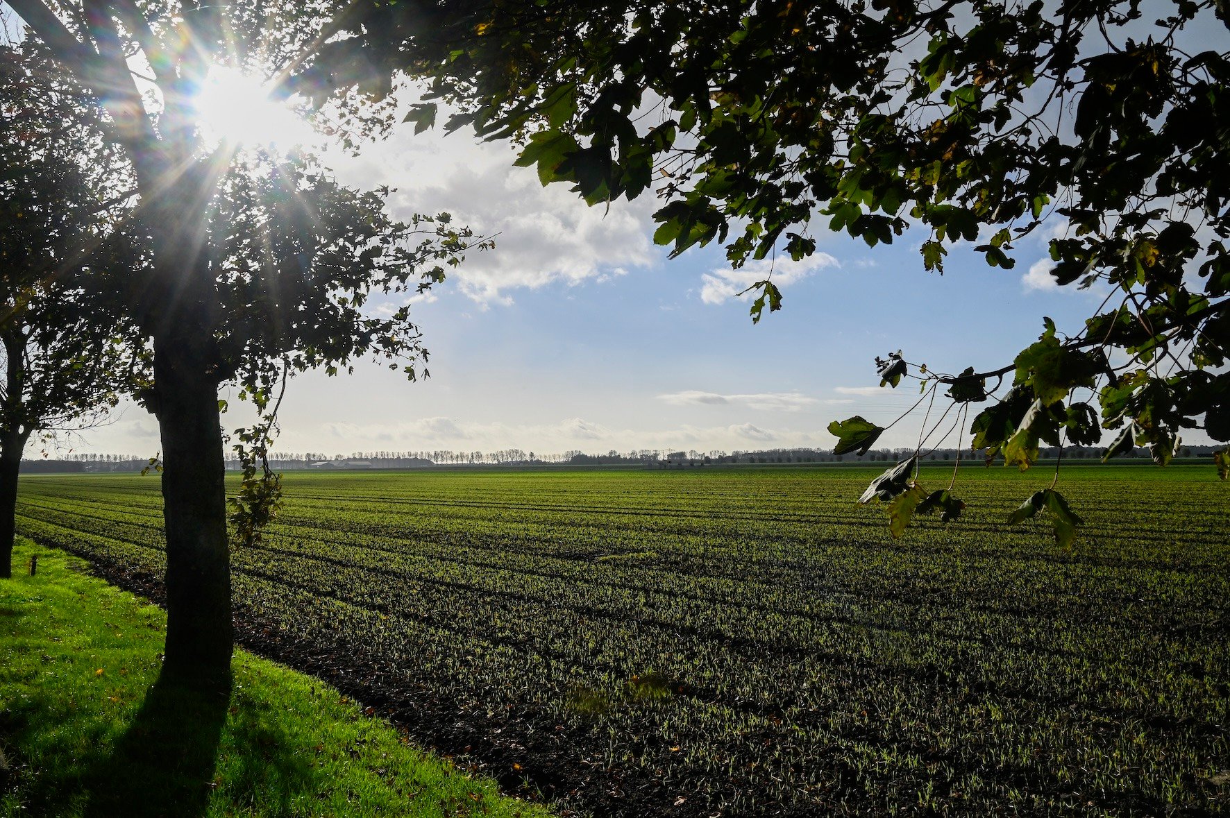 Landschap-Lisse